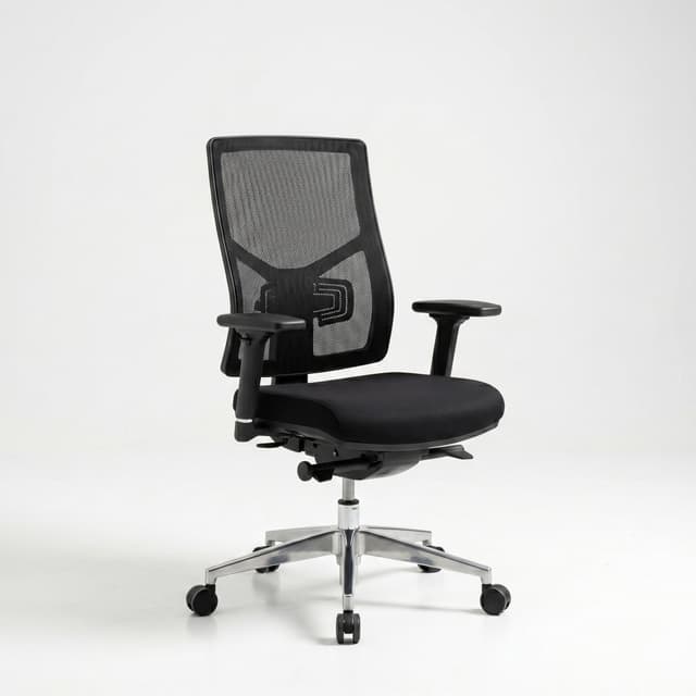 ErgoMesh Task Chair